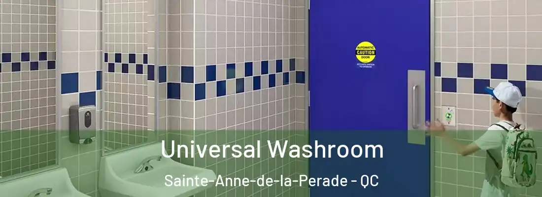  Universal Washroom Sainte-Anne-de-la-Perade - QC